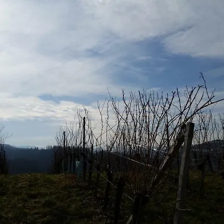 Weingut-gaestezimmer Pongratz ファームステイ ガムリッツ