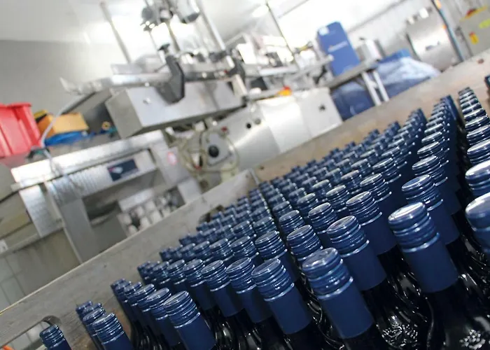 Weingut-gaestezimmer Pongratz *