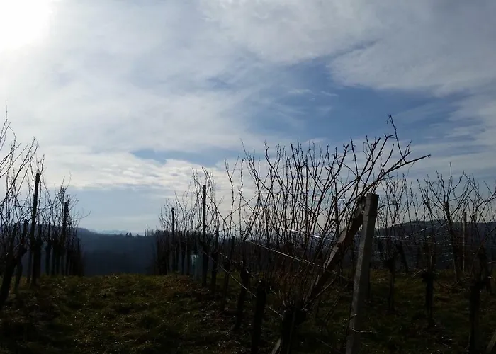 Weingut-gaestezimmer Pongratz Agroturismo Gamlitz